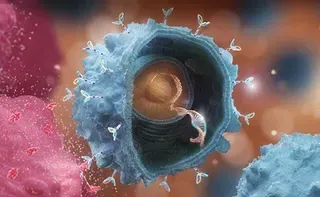 Chimeric antigen receptor (CAR) T cell therapy, showing CAR attaching to an extracellular target on a cancer cell